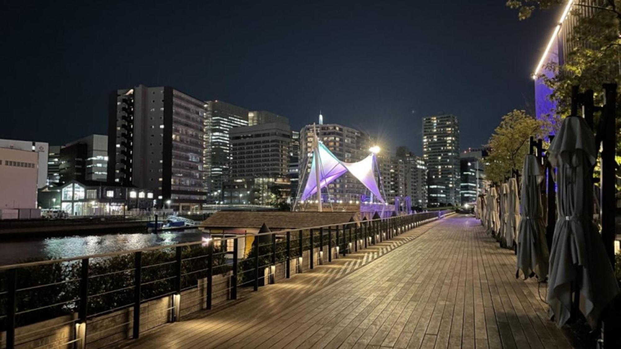 Toyoko Inn Tokyo Shinagawa Konan-Guchi Tennozu Isle Exterior foto
